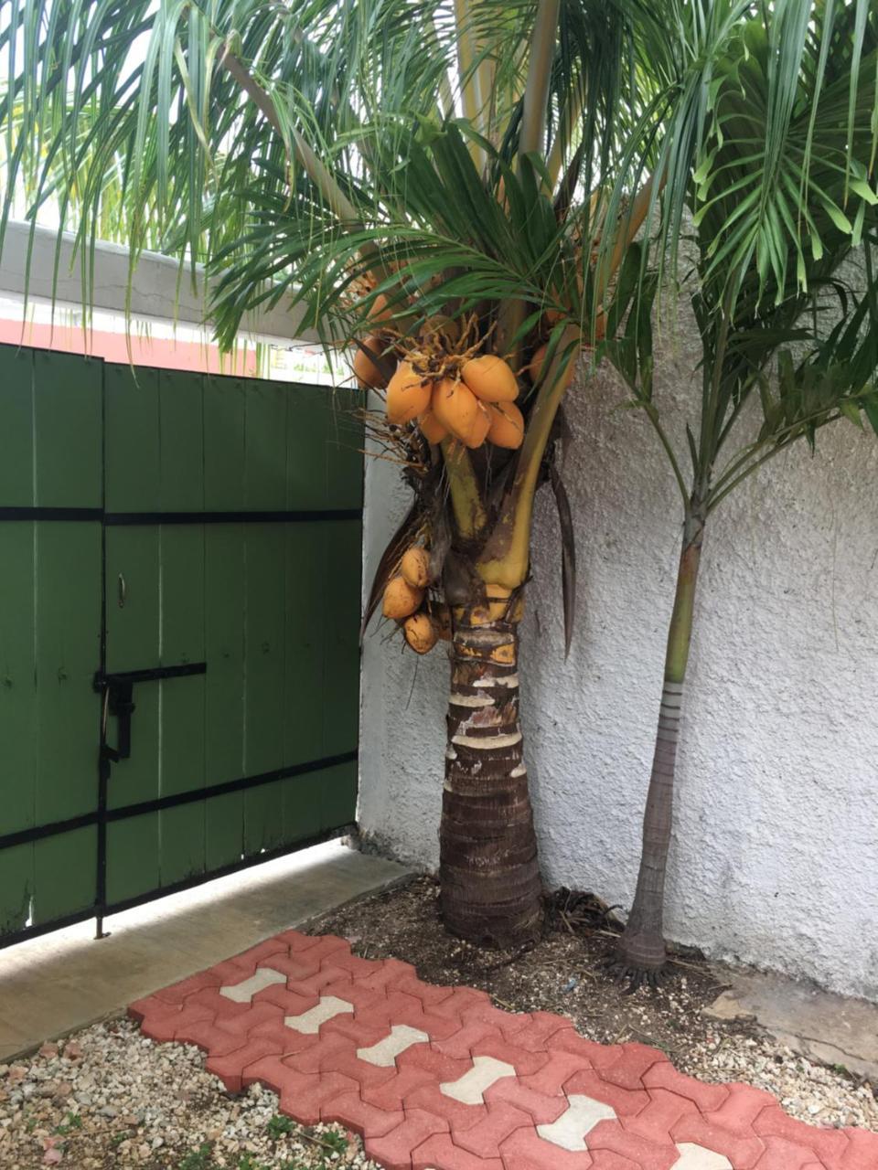 Violeta'S House Apartment Cancun Ngoại thất bức ảnh